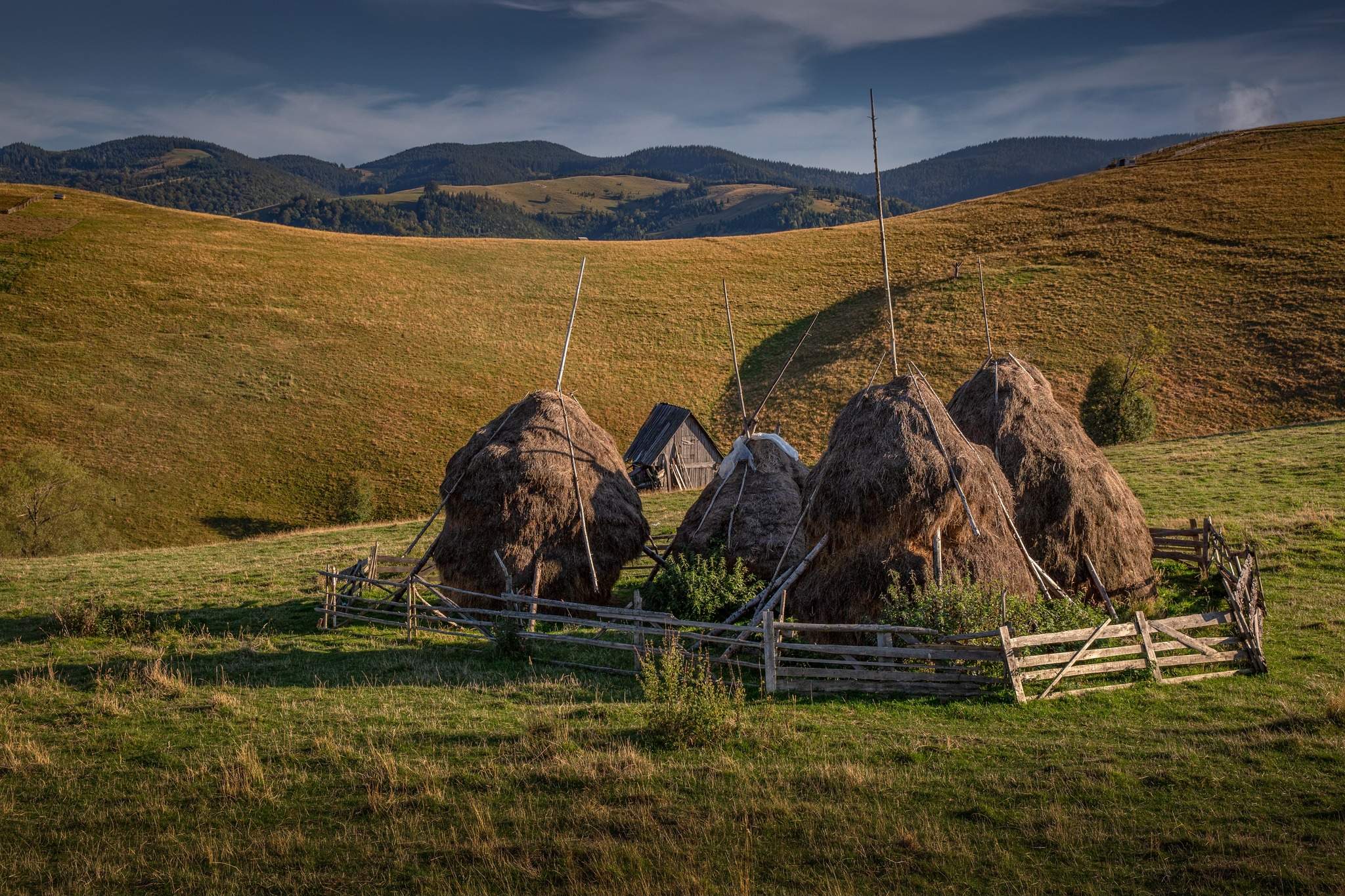 Rural Green landscape